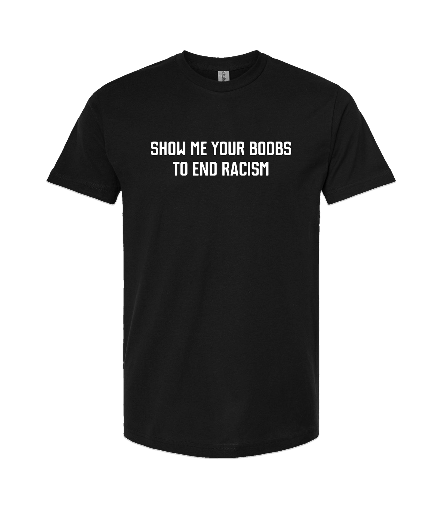 Purple Zebra - End Racism - Black T Shirt